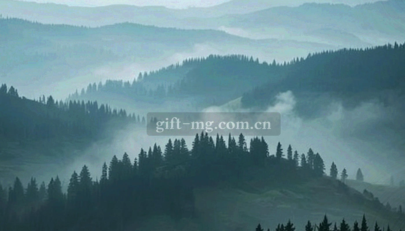 三条并列延伸的抽象光轨，深浅层次分明